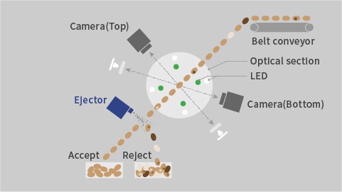 Belt type optical sorting