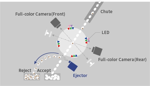 Optical Sorting